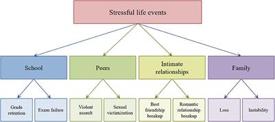 Stressful Life Events in Different Social Contexts Are Associated With Self-Injury From Early Adolescence to Early Adulthood